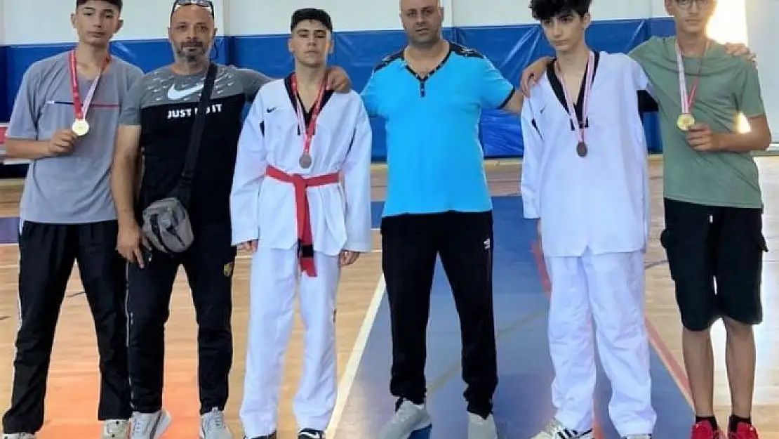 'Elazığ taekwondo takımları yarı finalde'