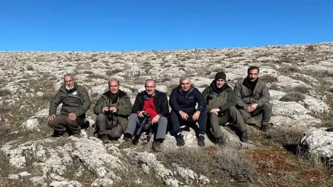 'Elazığ Valisi Toraman, dağ keçilerini izleme çalışmasına katıldı'