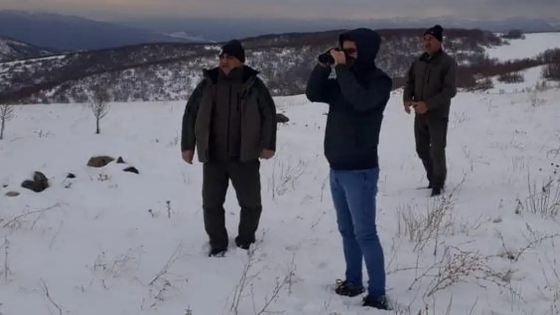 'Elazığda av koruma ve kontrol faaliyetleri sürüyor'