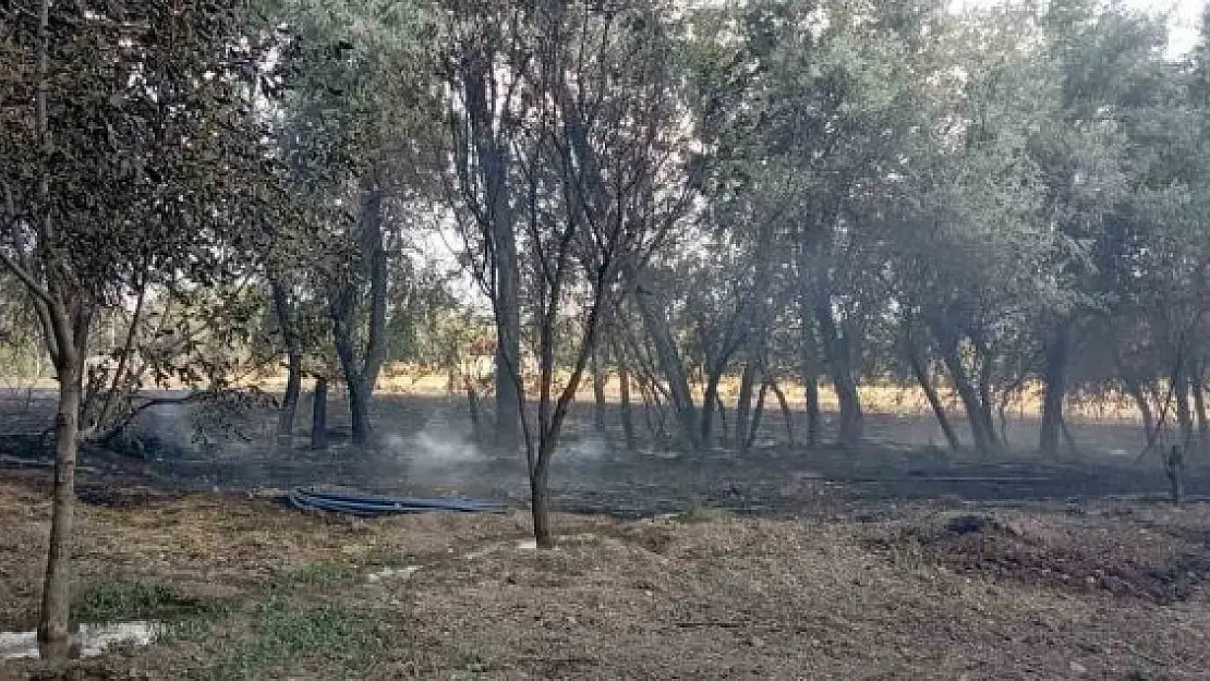 'Elazığda bahçede korkutan yangın'