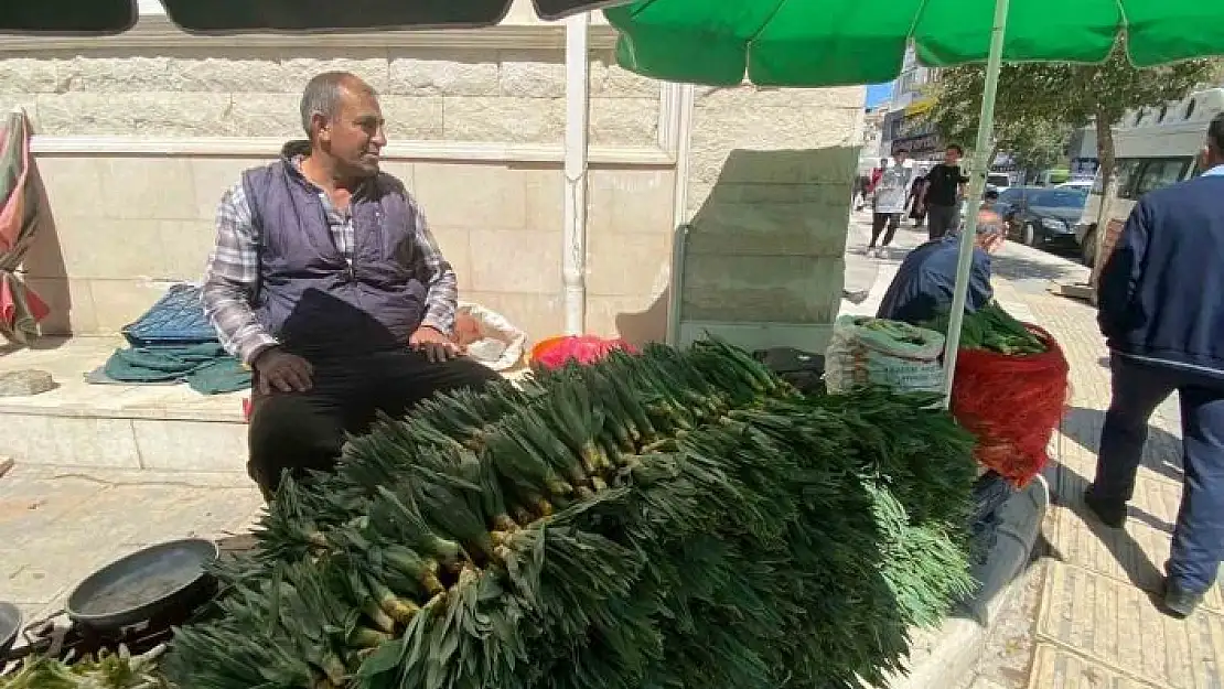 'Elazığda çiriş otu tezgahlarda yerini aldı'