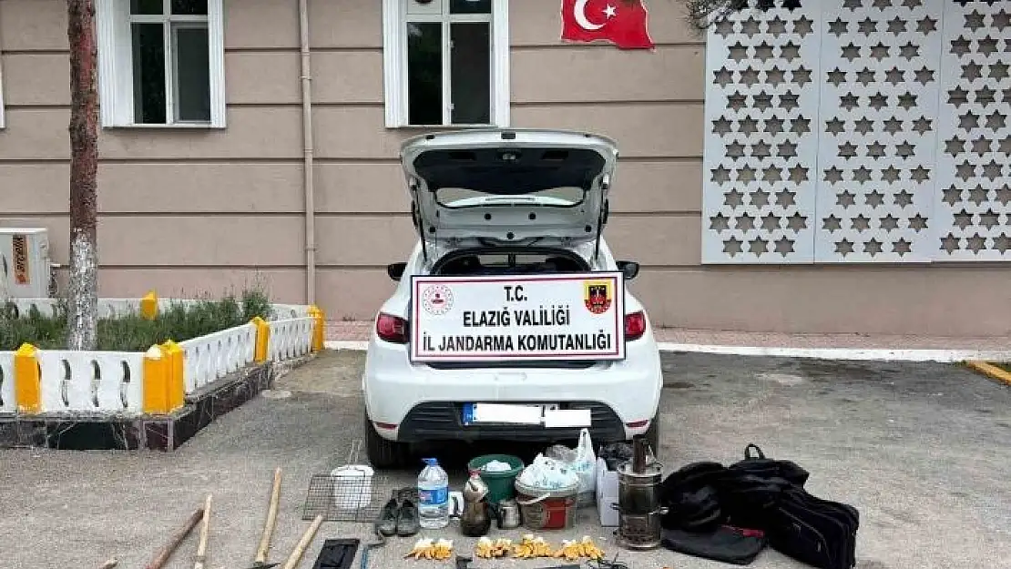 'Elazığda sit alanda kazı yapan 5 kişi yakalandı'