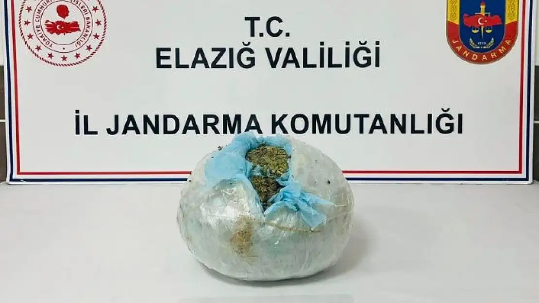 'Elazığda uyuşturucuya geçit yok: 1 tutuklama'