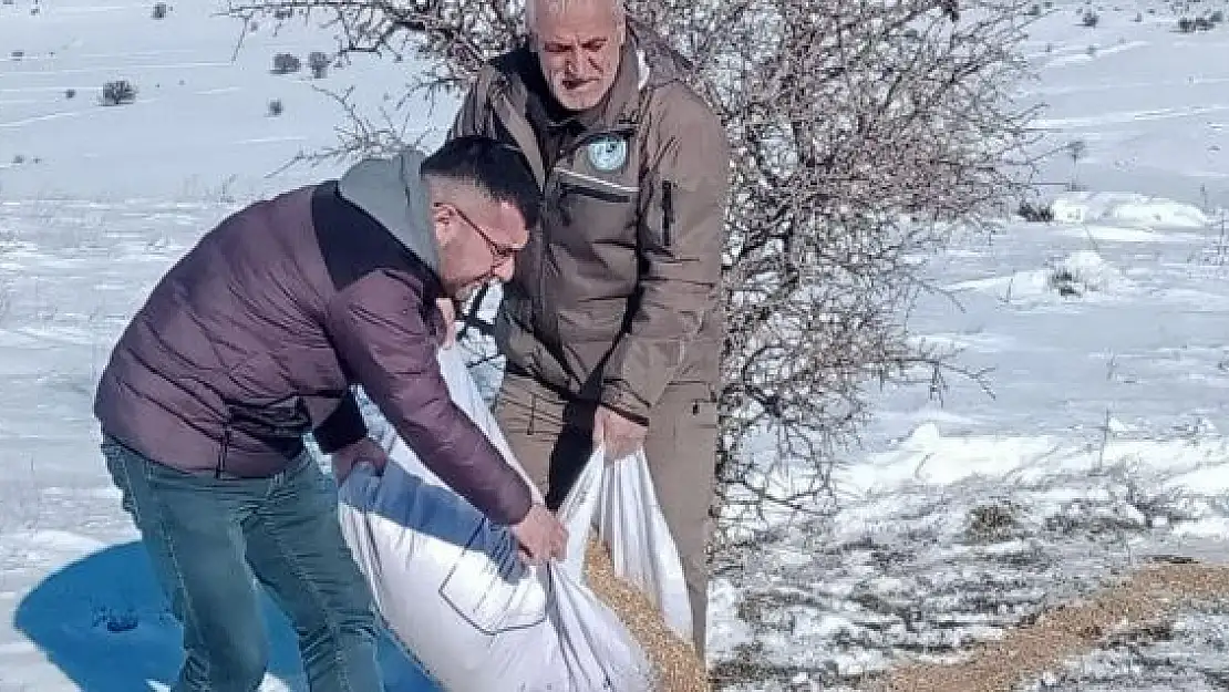 'Elazığda yaban hayvanları için doğaya yem bırakıldı'