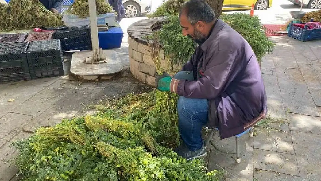 'Elazığda yeşil nohut tezgahlardaki yerini aldı'