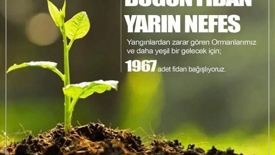 'Elazığspor, 1967 fidan bağışlayacak'