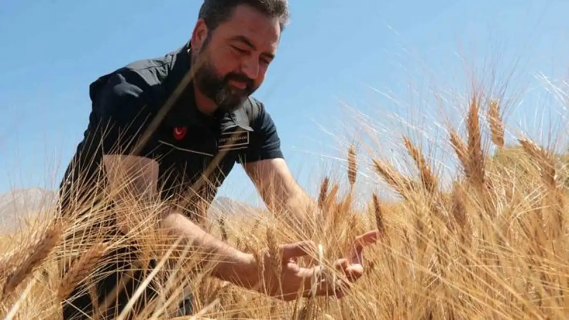 'Elbistan Belediyesi halk ekmeği bedava verecek'