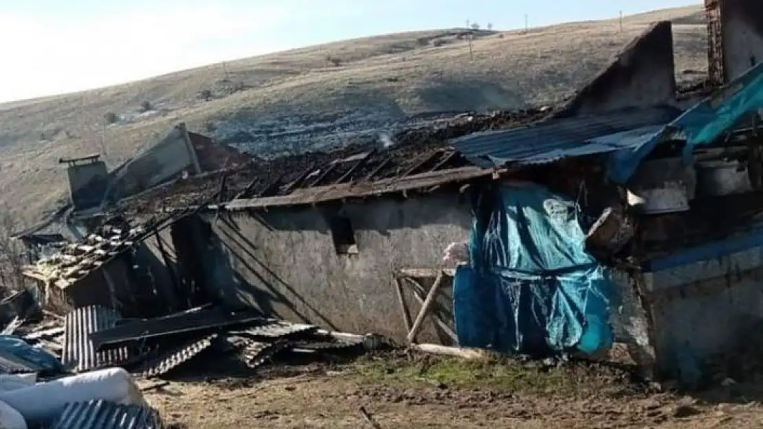 'Elektrik kontağından çıkan yangın, 12 hayvanı telef  etti'