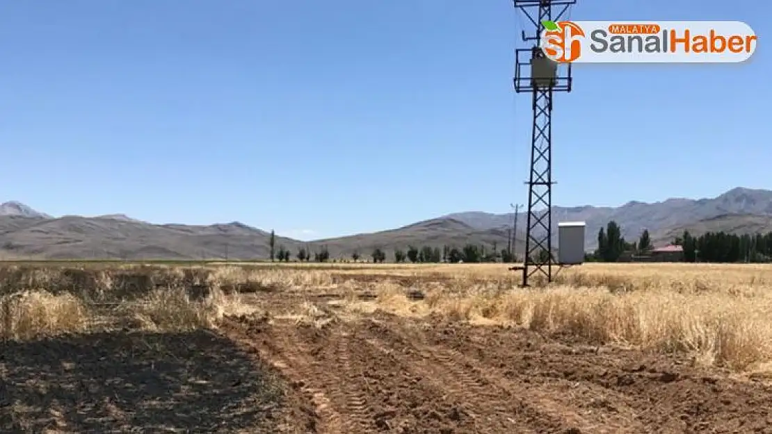 Elektrik teline çarpan karga buğday tarlasını yaktı