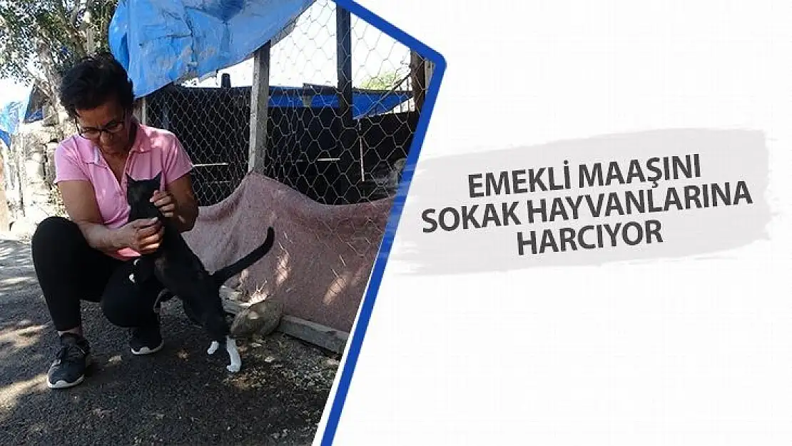 Emekli maaşını sokak hayvanlarına harcıyor