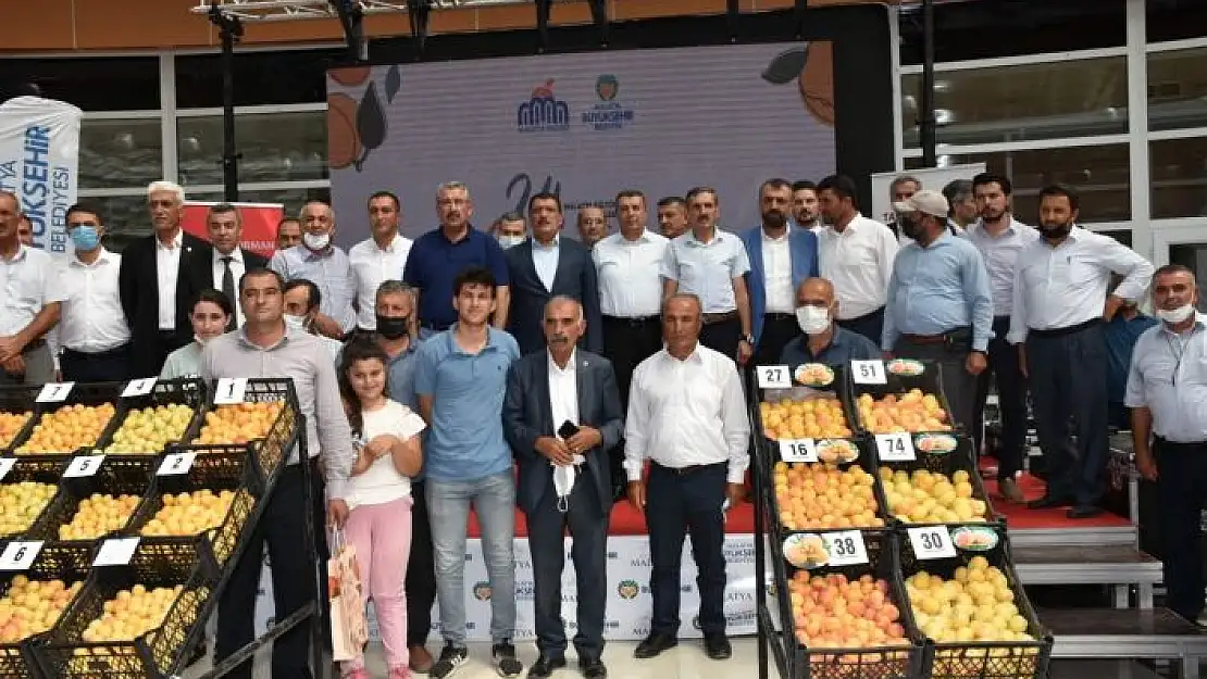 '`En iyi yaş kayısı´ yarışması yapıldı'