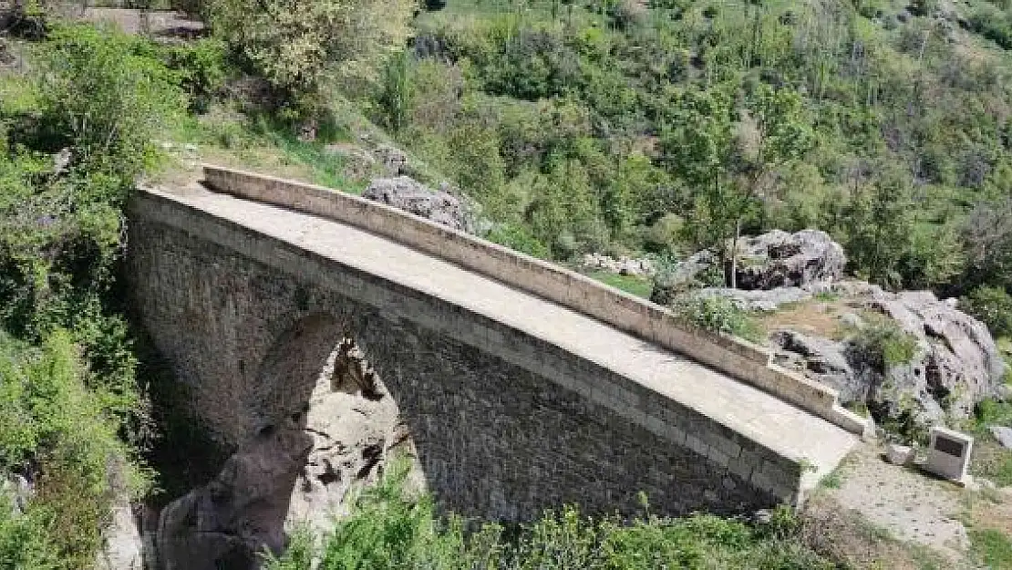 'Ermeni vahşetinin tanığı: ''Kanlı köprü'''