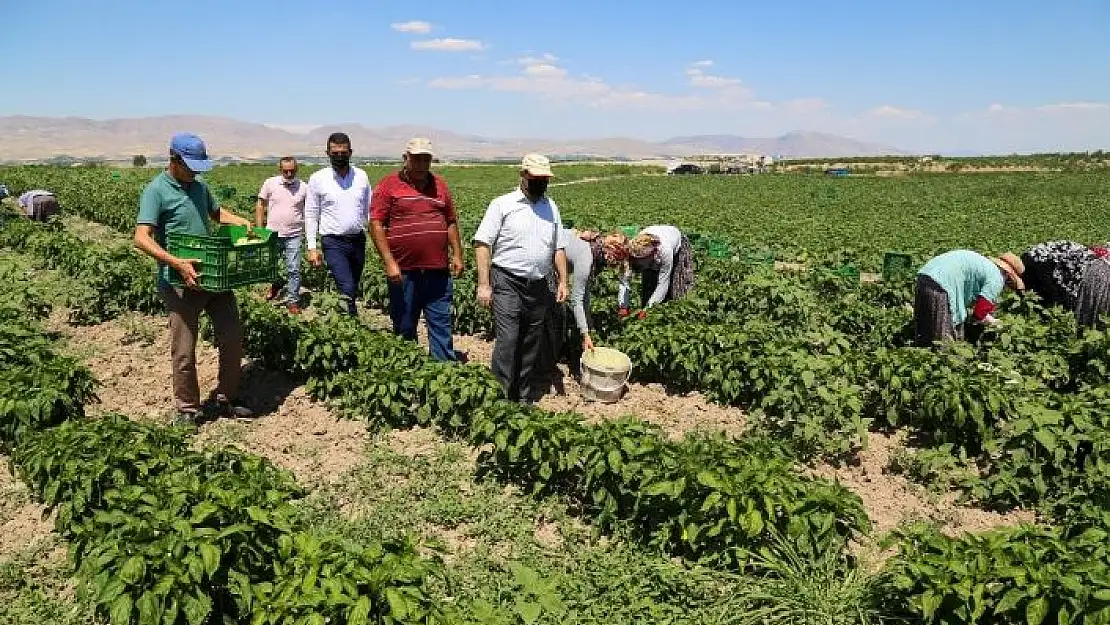 'Esenlik genel müdürü Ünlü´den çiftçilere destek açıklaması'