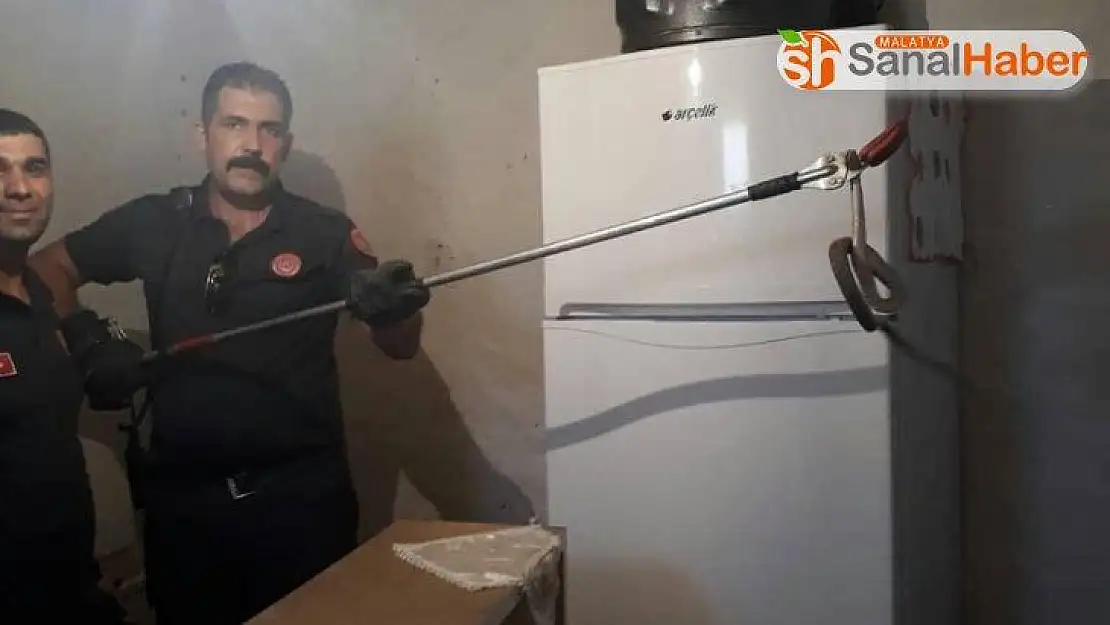 Eve giren yılanı itfaiye ekipleri çıkardı