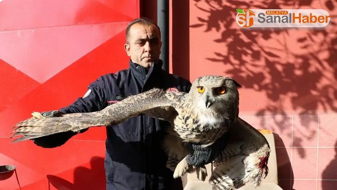 Eve gizlice girdi, görünümüyle görenleri şaşırttı