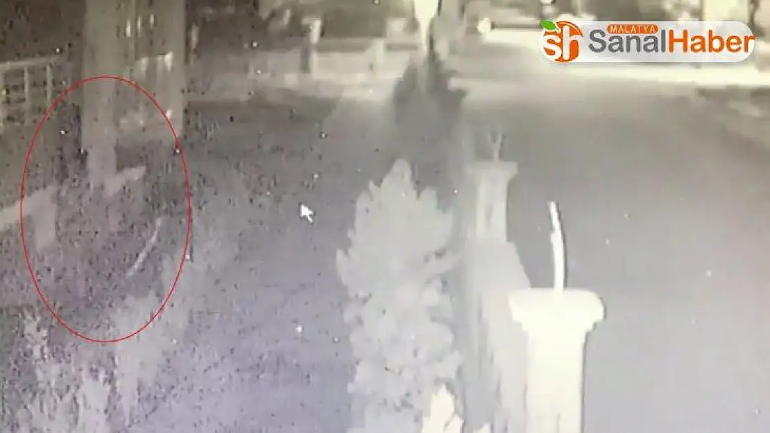 Eve tırmanarak giren hırsız yakalandı