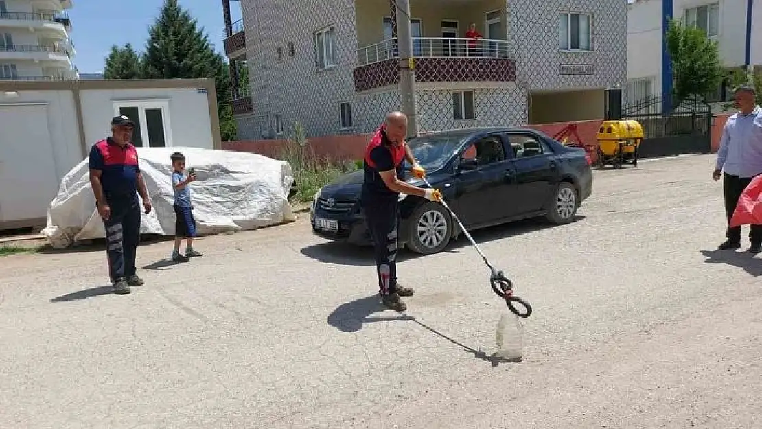 'Evin bahçesine giren yılan yakalandı'