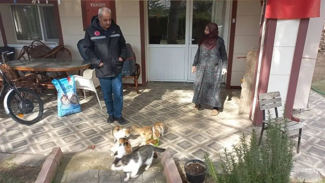 'Evinin bahçesinde 30 kediye bakan Zahide nineye İl Özel İdare ekiplerinden mama desteği'