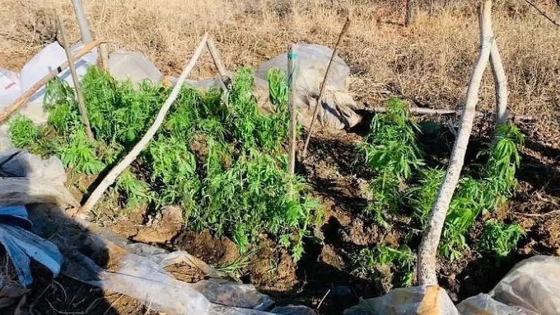 'Evinin bahçesindeki serada uyuşturucu ekmiş'