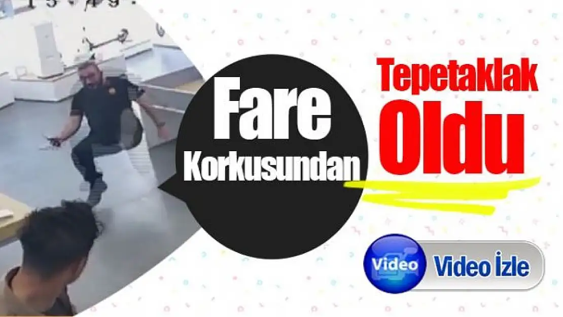 Fare korkusundan tepetaklak oldu