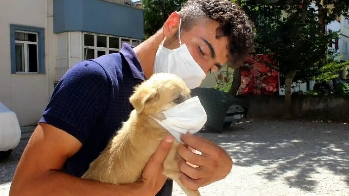 'Farkındalık olsun diye köpeğini maskeyle gezdiriyor'