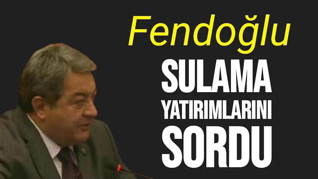 Fendoğlu, sulama yatırımlarını sordu