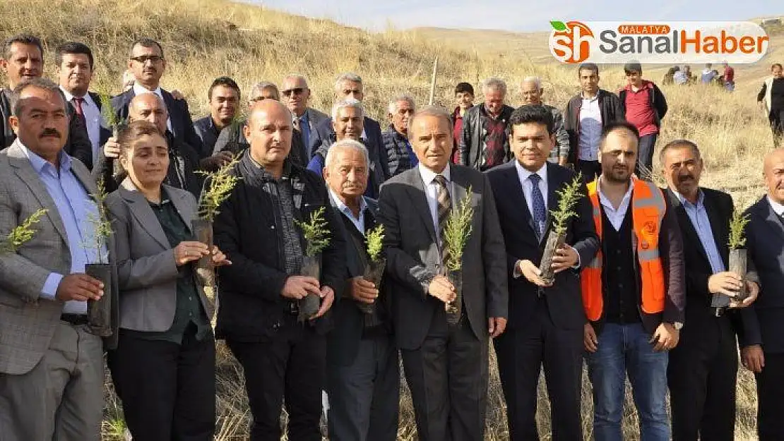 Fidan dikme kampanyası