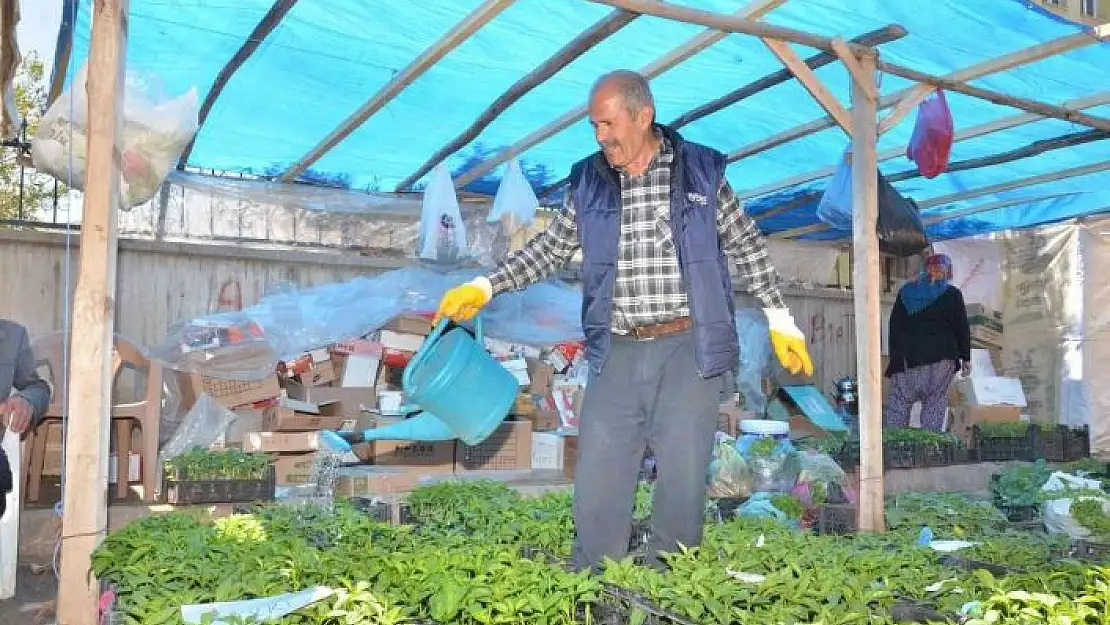 'Fideler görücüye çıktı'