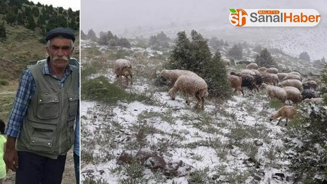 Sürüsünü kurtarmaya giderken Kazara kendini vurdu