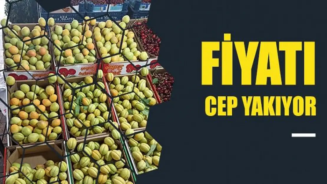 Fiyatı cep yakıyor