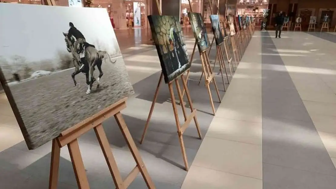 'Fotoğraflar sanatseverlerle buluşturuldu'