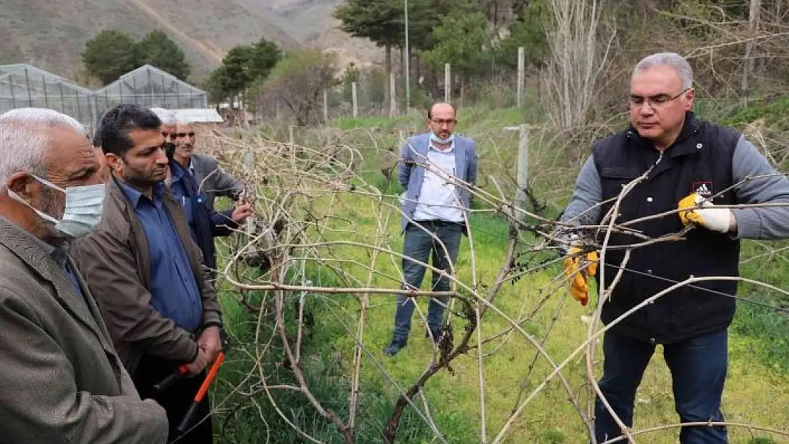 'FÜ tarafından çiftçilere bağ budama eğitimi verildi'