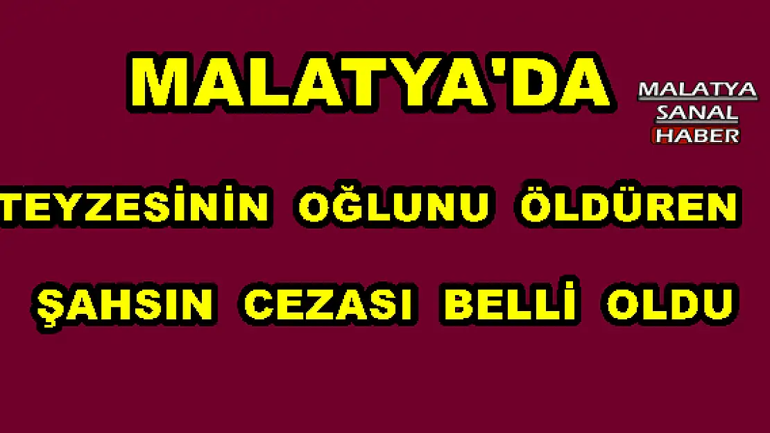 MALATYA'DA TEYZESİNİN  OĞLUNU  ÖLDÜREN ŞAHSIN  CEZASI  BELLİ  OLDU