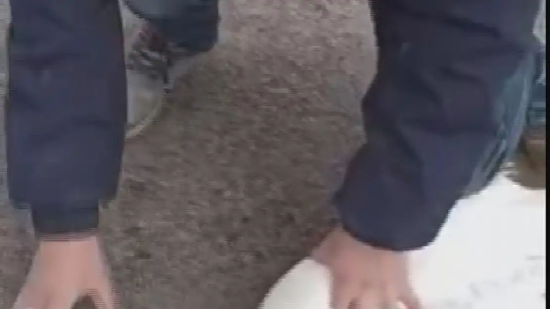 'Gagasına öyle bir şey sıkıştı ki, yardımına vatandaşlar koştu'