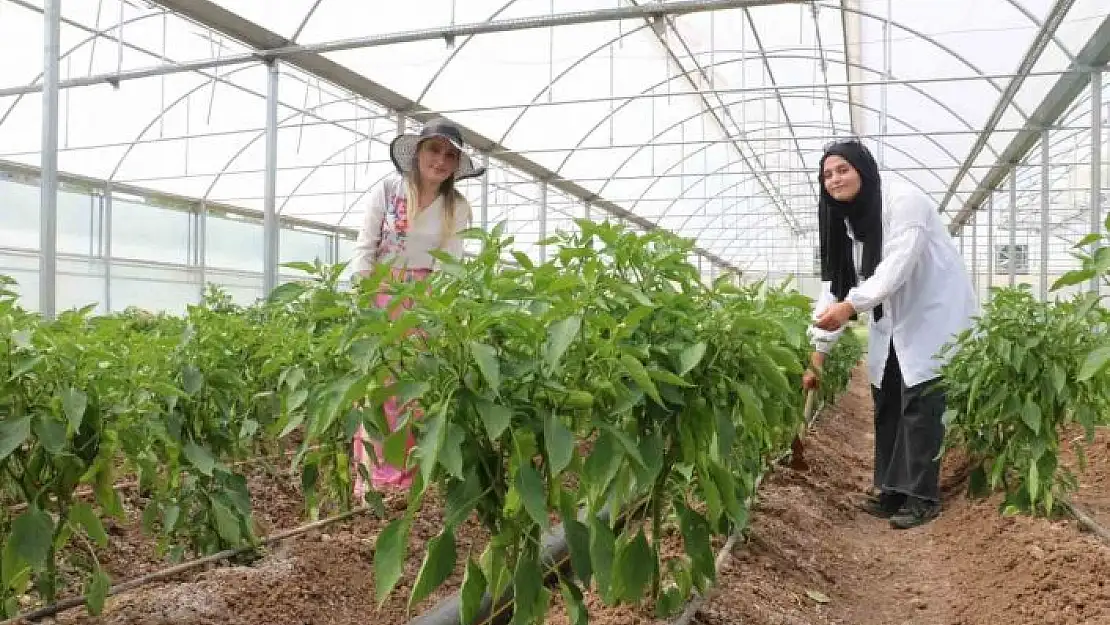 'Geleceğin mesleğinde uygulamalı eğitim sürüyor'