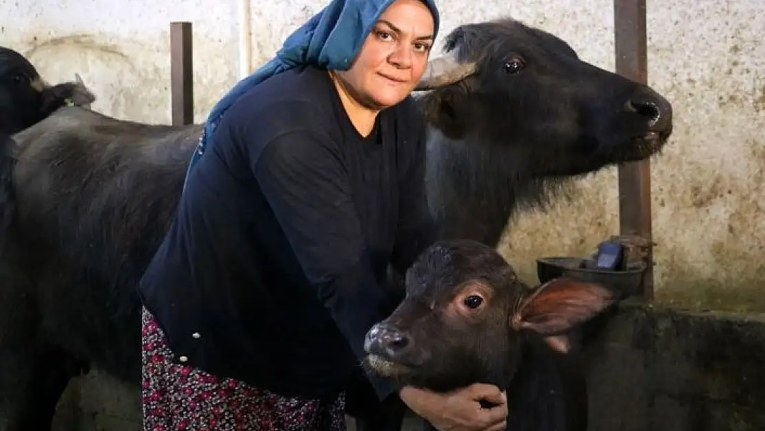 'Gelin geldiği köyde çiftlik kurdu'