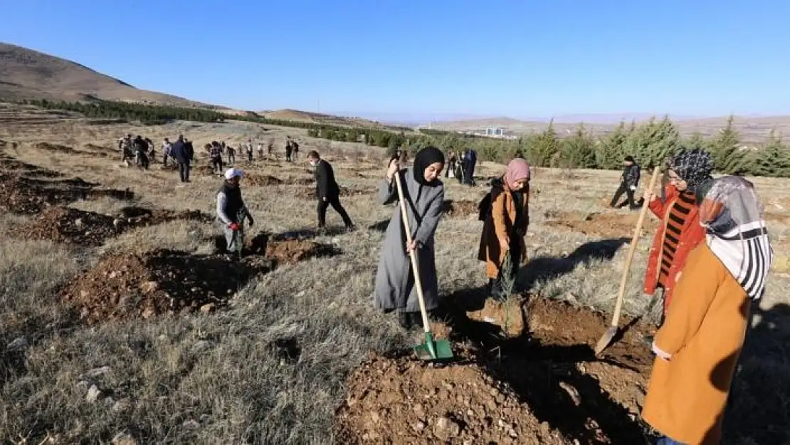 'Gençlerden yeşillendirmeye destek'