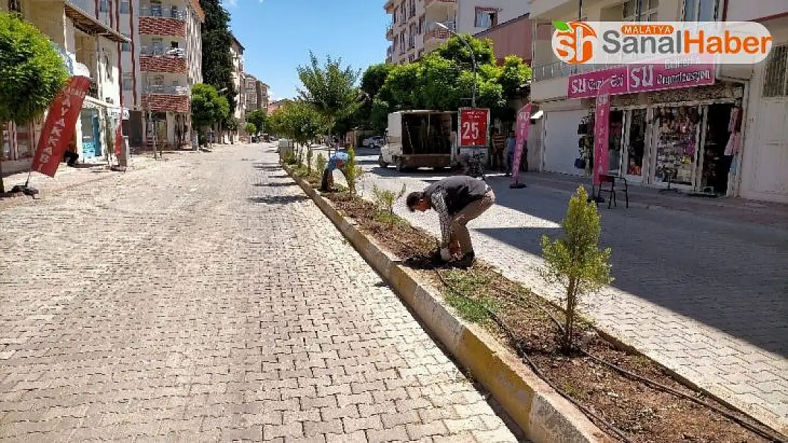 Gölbaşı Belediyesi ağaçlandırma çalışmalarına başladı