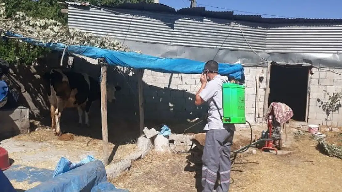 'Gölbaşı Belediyesi ilaçlama çalışmalarına devam ediyor'