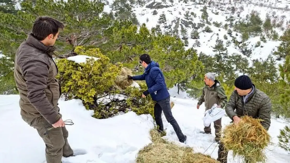 'Gölbaşı´daki yaban hayvanlarına yem bırakıldı'