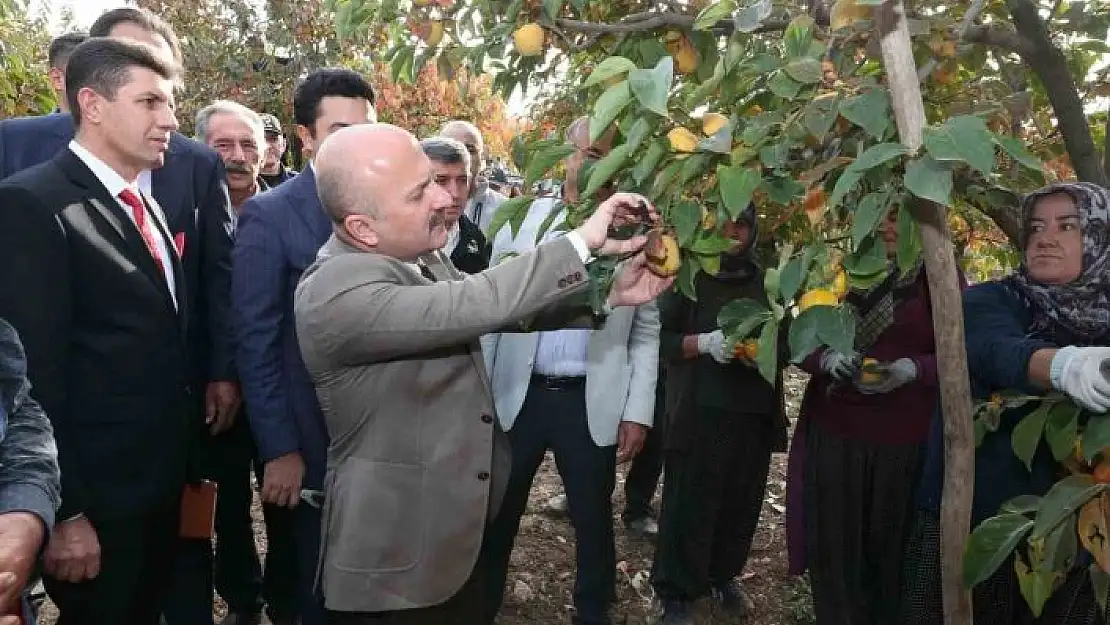 'Gölbaşı ilçesinde hurma hasadı başladı'