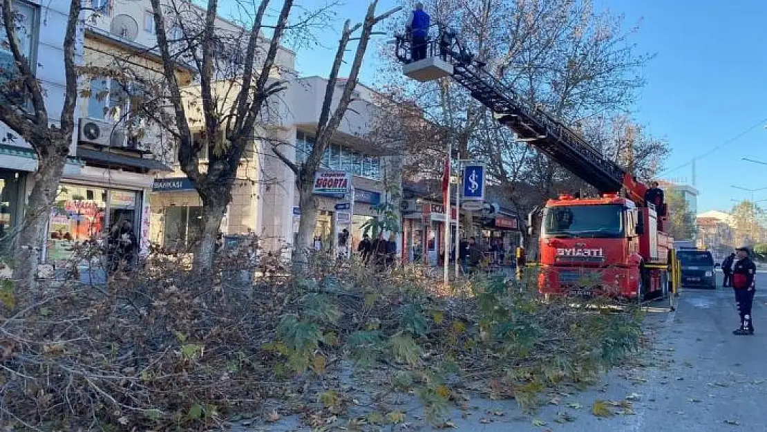 'Gölbaşı´nda ağaçlar budanıyor'