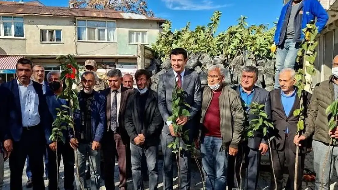 Gölbaşı´nda Hurma fidanı dağıtıdı
