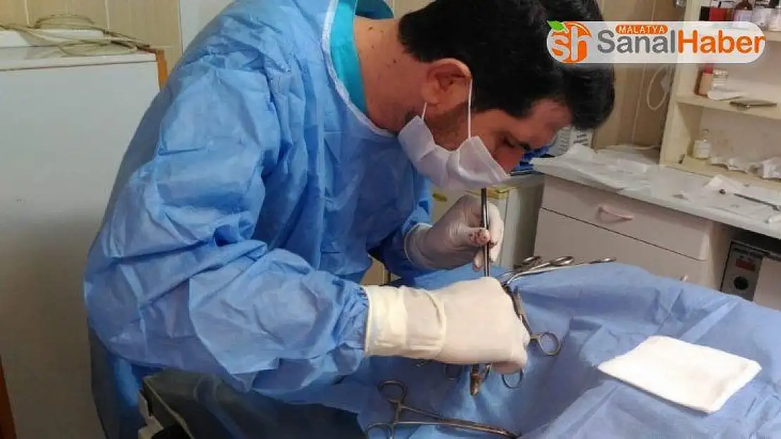 Görme kaybı yaşayan köpek tedavi edildi