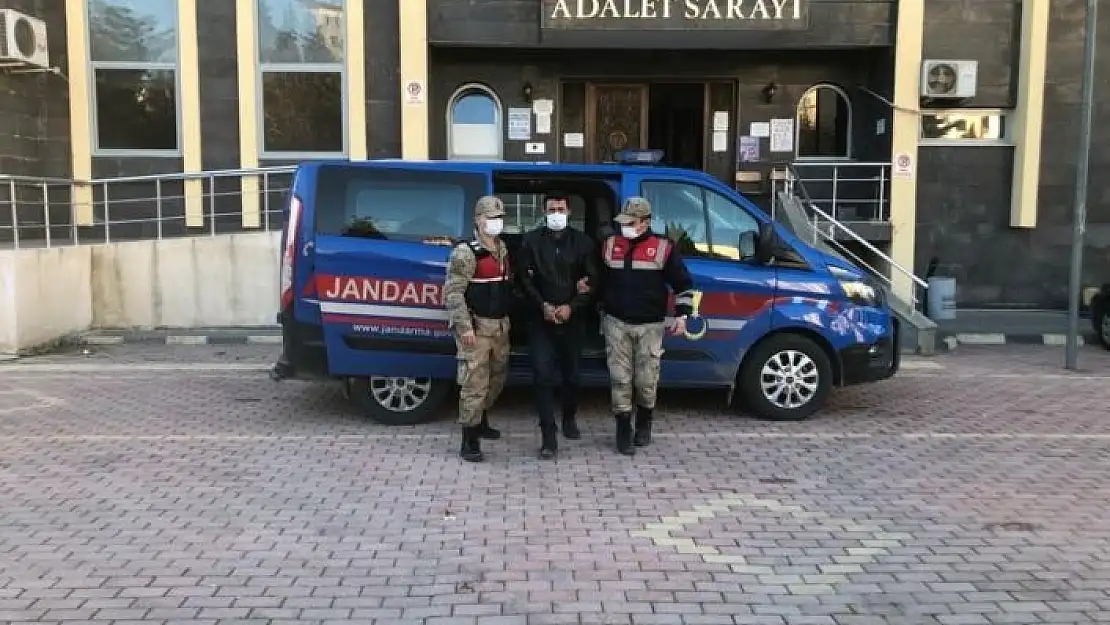 'Gurbetçilerin korkulu rüyasını jandarma dedektifleri yakaladı'