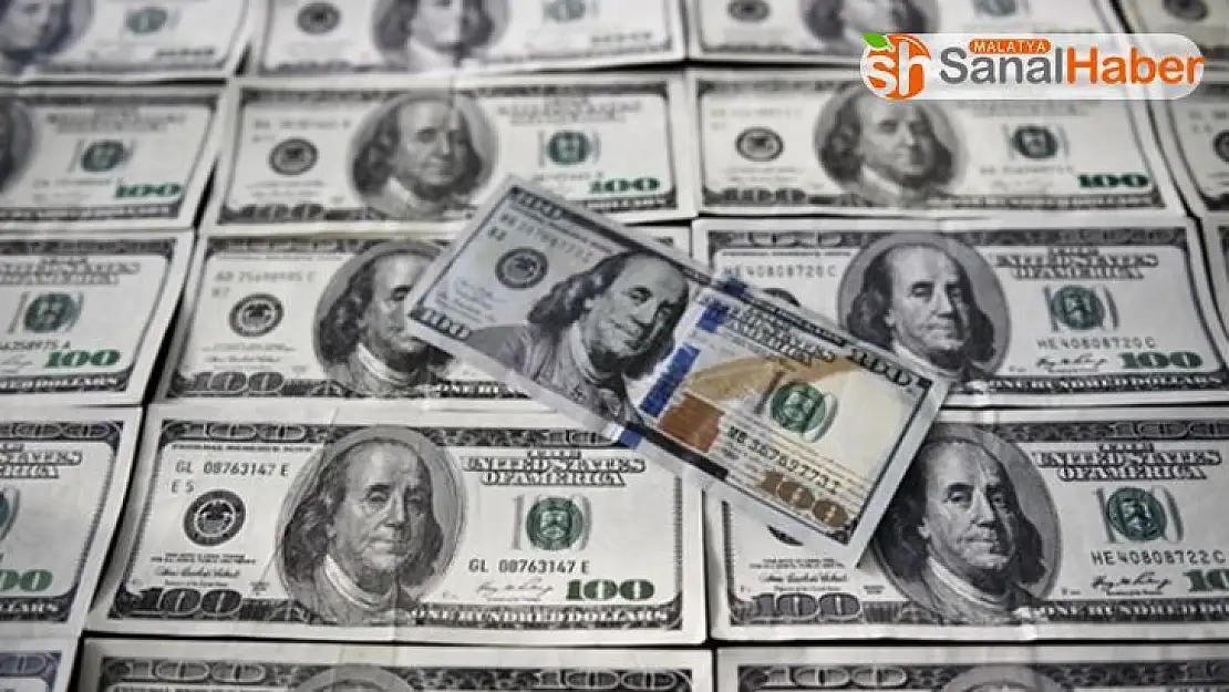 Gürcistan'da piyasaya sahte dolar süren Türkiye vatandaşı gözaltına alındı