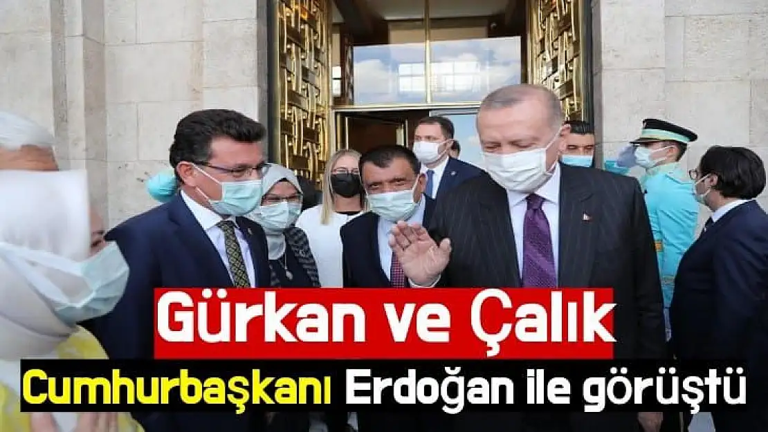 Gürkan ve Çalık Cumhurbaşkanı Erdoğan ile görüştü