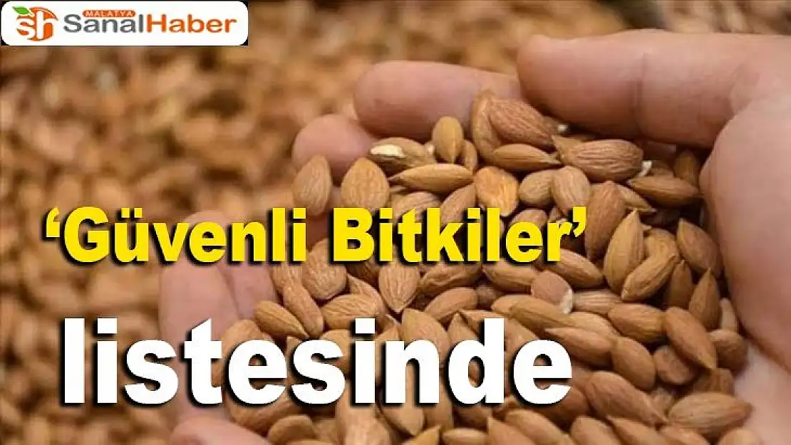 Güvenli Bitkiler listesinde