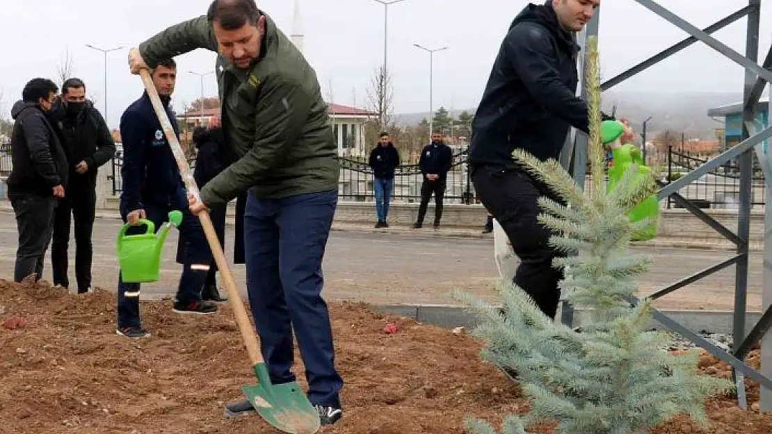 'Hamidiye 350 fidanla taçlandı'