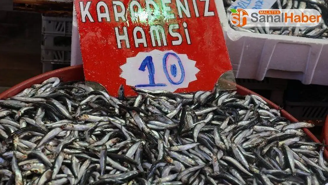 Hamsi yüz güldürdü